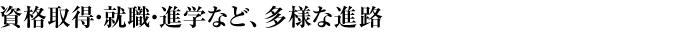 資格取得・就職・進学など、多様な進路